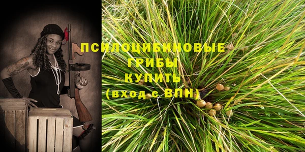 mdpv Алзамай