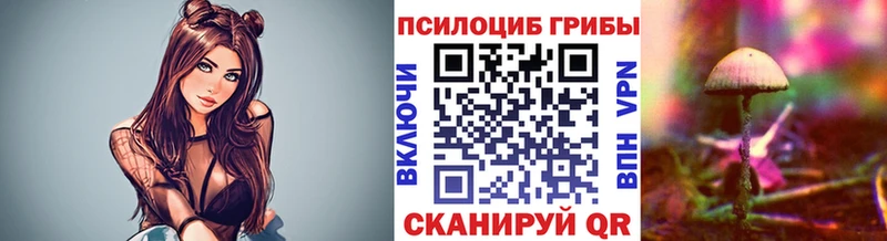 даркнет сайт  Кудрово  Псилоцибиновые грибы MAGIC MUSHROOMS 
